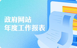 政府网站年度工作报表
