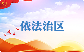 法治政府建设报告